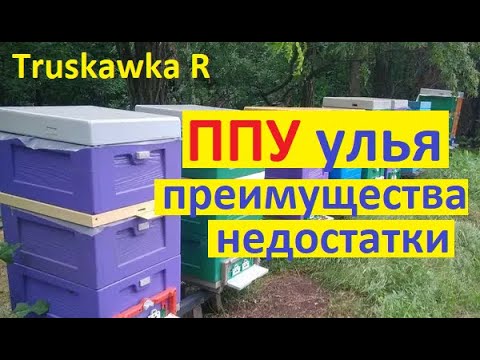 Видео: #пчёлы. Стоит ли заводить ППУ улья?. Какие плюсы и какие минусы при работе с ППУ и деревянными.