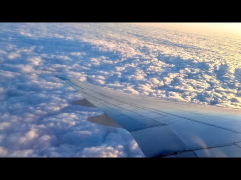 Видео: Как долго я ждала. Наш перелет Москва-Хургада с Аэрофлот. В аэропорту. Летим к мечте. Отпуск.