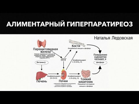 Видео: Алиментарный гиперпаратиреоз