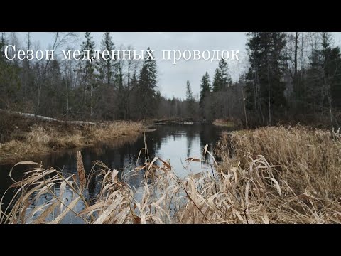 Видео: Сезон медленных проводок