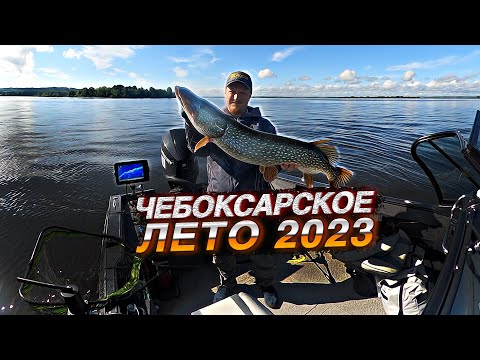 Видео: Чебоксарское водохранилище летом 2023