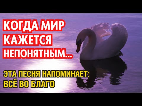 Видео: ЭТА ПЕСНЯ — КАК ЛУЧ НАДЕЖДЫ: В НЕЙ МУДРОСТЬ, ПРИНЯТИЕ И ВЕРА В СВЕТ 💫