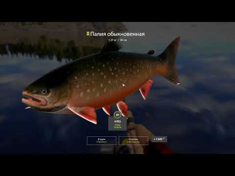 Видео: Russian Fishing 4 ( Ладожское озеро ) Палия на лайт и ультралайт. Способы оснастки и пример ловли.