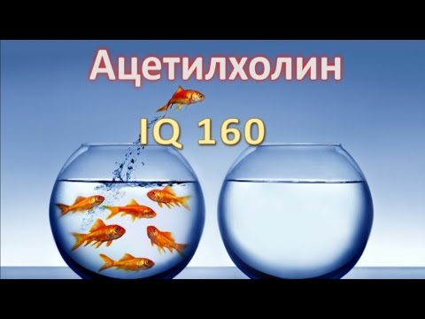 Видео: Ацетилхолин, IQ 160