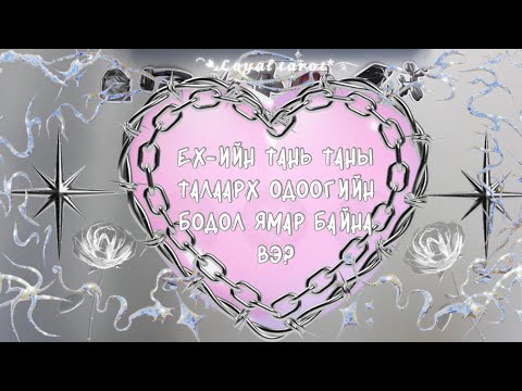 Видео: 📍❤️‍🔥💔 EX эсвэл харилцаагүй байгаа хүн чинь таныг одоо юу гэж бодож байна вэ? 📍❤️‍🔥❤️‍🩹 (Нэмэлттэй)