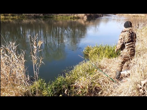 Видео: Рыбалка на Поплавок в Чудесный день.Рыбалка на плотву и щуку!