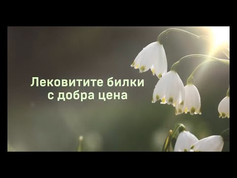 Видео: Лековитите билки с добра цена