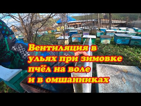 Видео: С КАКОЙ ВЕНТИЛЯЦИЕЙ В УЛЬЯХ, БУДУТ ЗИМОВАТЬ МОИ ПЧЁЛЫ НА ВОЛЕ И В ЗИМОВНИКАХ