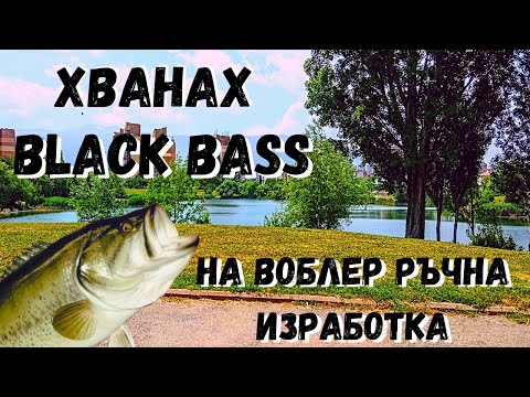 Видео: ПЪРВИЯТ МИ БАС.ЕЗЕРОТО ДРУЖБА