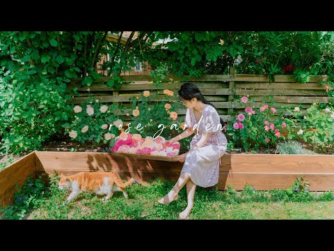 Видео: #144 Розовый сад | День ухода за собой | Процедура ухода за кожей с розами