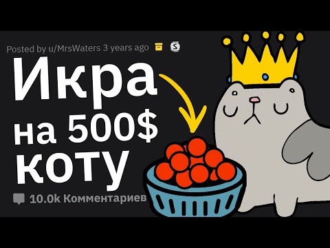 Видео: Пафосные Выходки Богачей