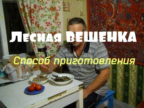 Видео: Лесная ВЕШЕНКА  - Способ приготовления // Наш УЖИН