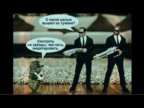 Видео: крем-суп