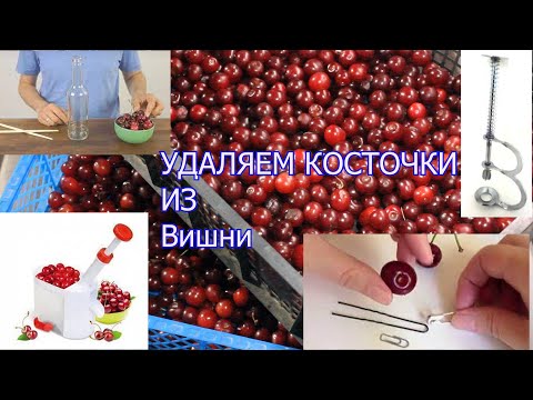 Видео: Как удалить КОСТОЧКУ из ВИШНИ [12 способов] БЫСТРО подручными средствами