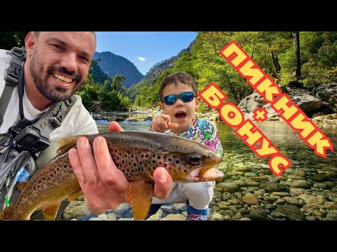 Видео: ПИКНИК + БОНУС