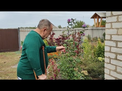 Видео: ТАТКО ДОМА! ЩО Зі МНОЮ ТРАПИЛОСЯ?