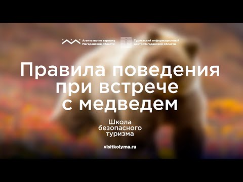 Видео: Школа безопасного туризма:правила поведения при встрече с медведем