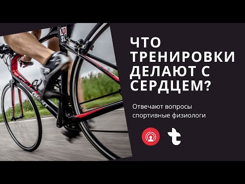 Видео: Какие тренировки вредны и полезны для сердца? Ответы на вопросы в прямом эфире
