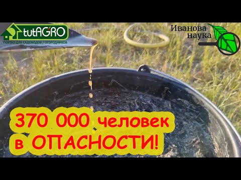 Видео: НЕ ПОВТОРЯЙТЕ ОШИБКИ И ГЛУПОСТИ! Не слушайте глупых о сенной палочке, триходерме и компосте.