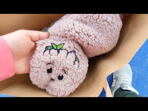 Видео: Гульнула на 4000! Купила все по вашим советам!