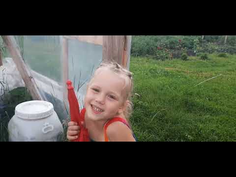 Видео: К нам пришла гроза. Огурчики собираем. Перец ожил.