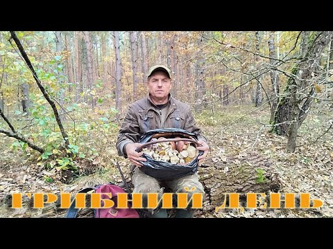 Видео: СУБОТНІЙ ВИХІД ДО ЛІСУ,,,18,10,2025Р,,,ГРИБНЕ АСОРТІ,,,