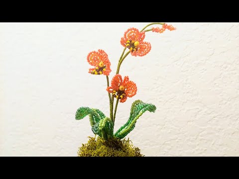 Видео: BEADED MINI ORCHID МИНИАТЮРНАЯ ОРХИДЕЯ ИЗ бисера МК от Koshka2015 - цветы из бисера, бисероплетение