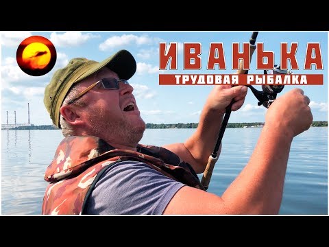 Видео: Осенняя рыбалка / Джиг на Волге / Поиск судака и окуня /  Иваньковское водохранилище / Конаково 2018