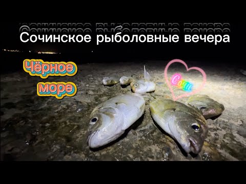 Видео: Отводной поводок среди рабочей недели #fishing #рыбалка #sochi #рыба #сочи #море #fish #seafishing