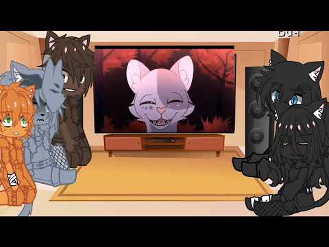 Видео: -^Реакция котов воителей^-Опимание!^-