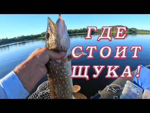 Видео: ГДЕ СТОИТ ЩУКА на озере! Там где клюёт! Рыбалка на щуку!