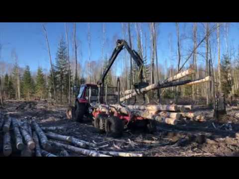 Видео: Форвардер за четверть цены. Лесозаготовка трактором МТЗ и прицепом с приводом АРМАДА