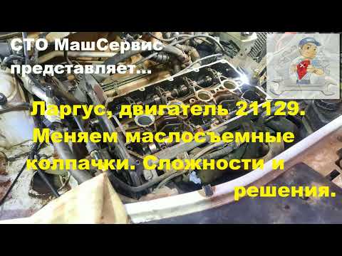 Видео: Ларгус, замена маслосъемных колпачков. Дв 21129. Полная версия