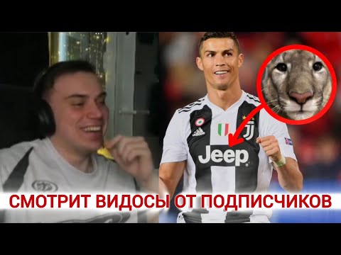 Видео: SASAVOT смотрит видео от подписчиков [Глеб конструктивно смотрит] /// #SASAVOT #twitch #кишки