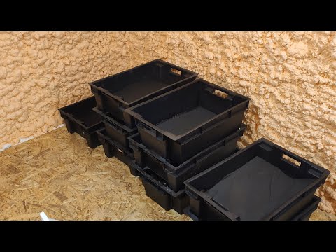 Видео: Выборка червя на Маточник