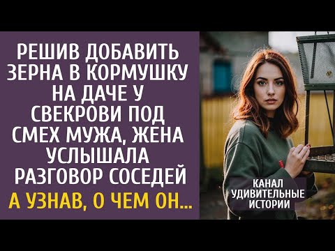 Видео: Решив добавить зерна в кормушку на даче у свекрови, услышала разговор соседей… А узнав, о чем о