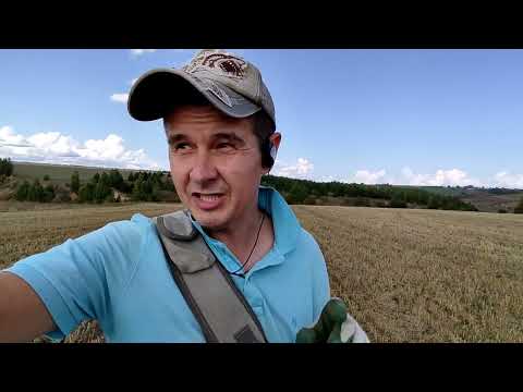 Видео: Я и мой металлоискатель ванквиш 540