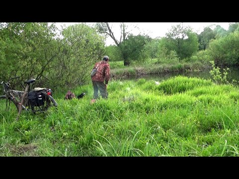 Видео: Новое дикое микроозерцо с крупной рыбой