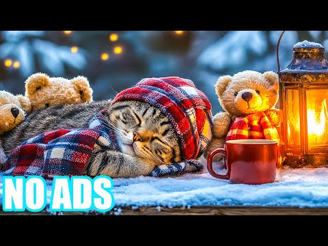 Видео: 12 часов уютных целебных мелодий для кошек💖Глубокое расслабление для кошек🐾Спокойная музыка для сп