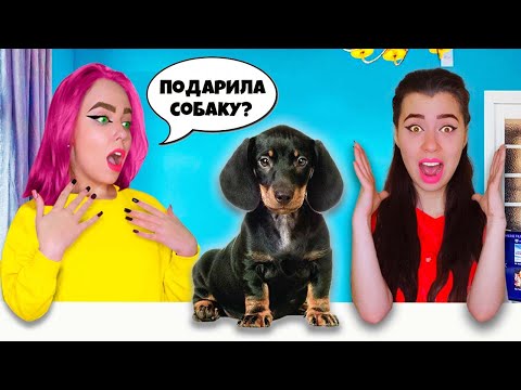 Видео: МЫ КУПИЛИ СОБАКУ ! Моя Сестра и Подруга в Шоке | ВЛОГ #25