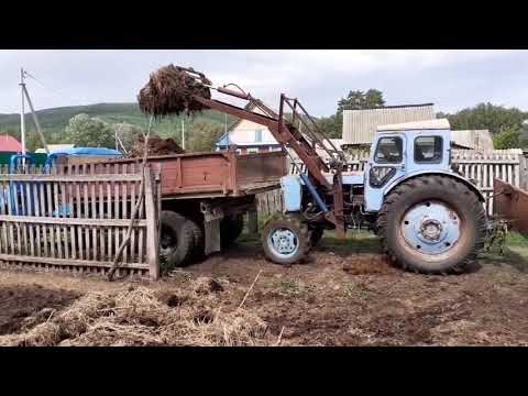 Видео: Загрузка навоза! Т-40АМ с самодельным куном!