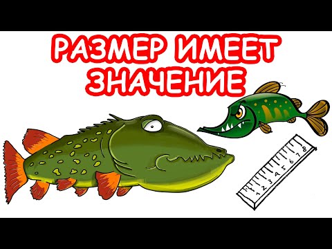 Видео: ВАЖЕН ЛИ РАЗМЕР ПРИМАНКИ. РЫБАЛКА НА СПИННИНГ. ЛОВЛЯ НА ДЖИГ