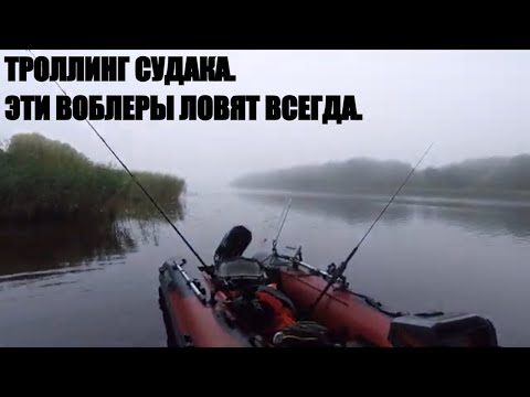 Видео: ТРОЛЛИНГ СУДАКА. ЭТИ ВОБЛЕРЫ ЛОВЯТ ВСЕГДА