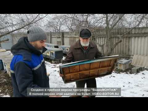 Видео: Зимовки на пасеке Карелова П. Ф.