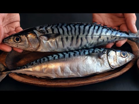 Видео: Скумбрия вкуснее, чем лосось! Друг научил меня готовить скумбрию так вкусно!