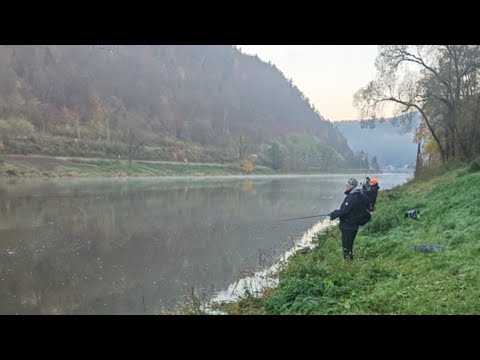 Видео: рыбачим дружной компанией