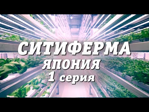 Видео: СИТИФЕРМА | Япония | 1 серия #211