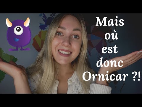 Видео: Кто такой ОРНИКАР | Разбираем по полочкам союзы DONC, MAIS, CAR | Уровень A2