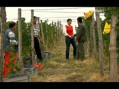 Видео: Румыния