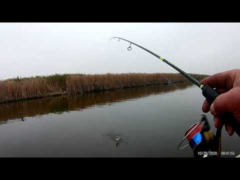 Видео: Погребняки.Рибалка на Сулі щука й окунь